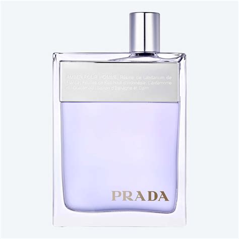 prada amber homme basenotes|does prada still make amber.